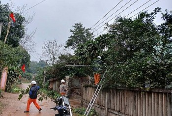 EVNCPC: Tăng quản lý hành lang tuyến để đảm bảo an toàn trong vận hành