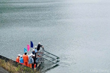 Thả hơn 30.000 con cá giống xuống hồ thủy điện Sông Bung 2