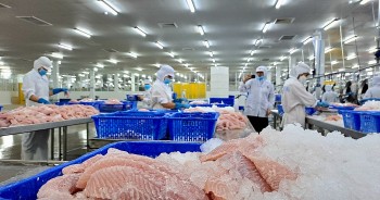 Ngành cá tra Việt Nam bứt phá tại thị trường Thái Lan