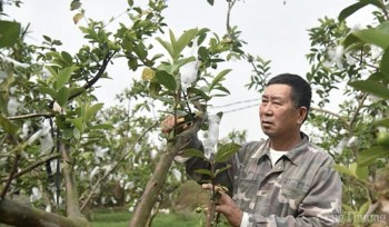 Quảng Ninh: TP. Đông Triều nâng cao, đổi mới sản phẩm OCOP