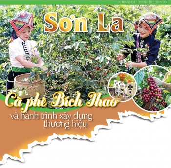 Longform | Sơn La: Cà phê Bích Thao và hành trình xây dựng thương hiệu