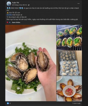 Bào ngư - hải sản thượng hạng nay giá rẻ bất ngờ