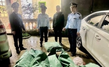 Lạng Sơn: Tạm giữ 1,3 tấn chân gà không rõ nguồn gốc