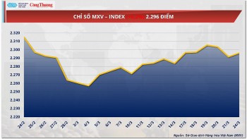 Thị trường hàng hóa: Giá đậu tương giảm về mức 370 USD/tấn