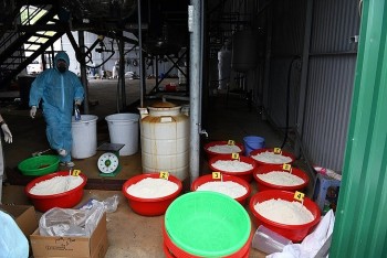 Bóc gỡ đường dây ma túy lớn nhất Việt Nam từ trước đến nay