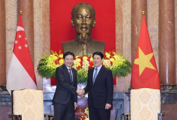 Singapore sẵn sàng cùng Việt Nam hợp tác phát triển năng lượng