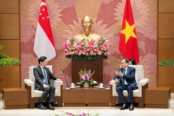 Singapore là đối tác đầu tư lớn thứ hai tại Việt Nam