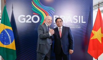 Doanh nghiệp Việt Nam - Brazil kỳ vọng gì từ chuyến thăm của Tổng thống?