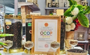 Nông sản Gia Lai sẵn sàng tham gia triển lãm tại Savannakhet