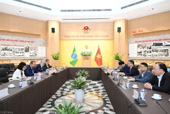 Bộ trưởng Nguyễn Hồng Diên đề nghị Brazil tăng cường hợp tác về công nghiệp và năng lượng