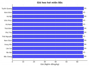 Giá heo hơi hôm nay 1/4/2025: Nơi nào chạm đáy 65.000 đồng/kg?
