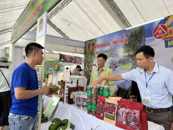 Nông sản Đắk Lắk: Từ đất đỏ bazan vươn tầm thế giới