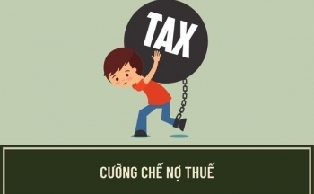 Cưỡng chế thuế Công ty CP Thiên Sơn tại Đắk Nông