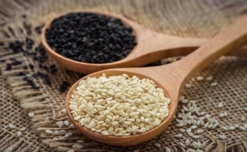 Xuất khẩu vừng Việt Nam trước cơ hội lớn tại Bắc Âu