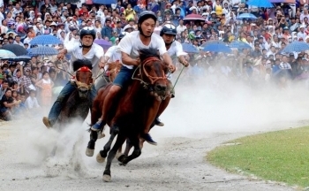 Lào Cai: Festival Bắc Hà - nơi hội tụ sắc màu Tây Bắc