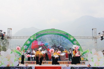 Sơn tra: 'Vàng xanh' trên núi Sơn La