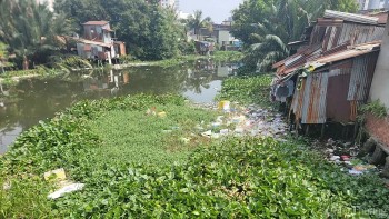 TP. Hồ Chí Minh: Người dân mong chờ cải tạo rạch Xuyên Tâm