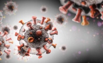 Bộ Y tế thông tin mới nhất về bệnh lạ gây sốt cao, ho ra máu