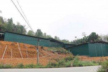 Sớm xử lý trục lợi trên dự án đường dây 500kV Lào Cai - Vĩnh Yên