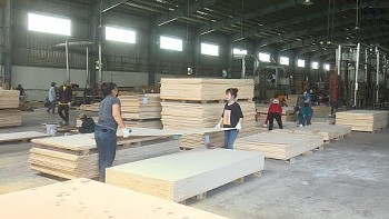 Sản xuất công nghiệp Đắk Nông quý 1/2025 tiếp tục tăng trưởng