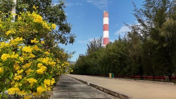 Nhiệt điện Vĩnh Tân đầu tư mạnh cho bảo vệ môi trường