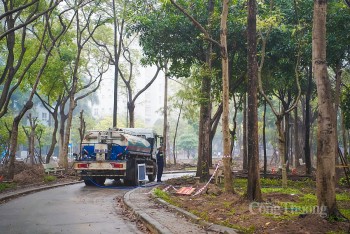 Hà Nội: Thêm cây xanh, công viên Cầu Giấy dần 'lột xác'