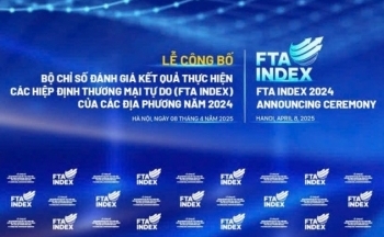Công bố FTA Index: Tỉnh, thành nào xếp hạng thấp?