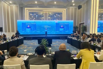 Bàn giải pháp phát triển thị trường carbon Việt Nam