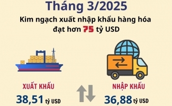 Tháng 3/2025: Xuất nhập khẩu hàng hóa đạt hơn 75 tỷ USD