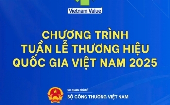Tuần lễ Thương hiệu quốc gia Việt Nam có hoạt động gì?