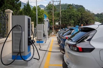 Kiến nghị gỡ vướng thuế tiêu thụ đặc biệt với xe điện nhập khẩu
