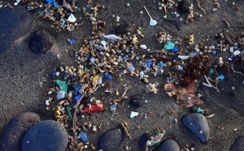 EU mở rộng kiểm soát vi nhựa trong vận tải biển