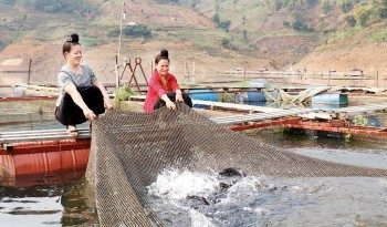 Đòn bẩy giảm nghèo từ đặc sản bản địa