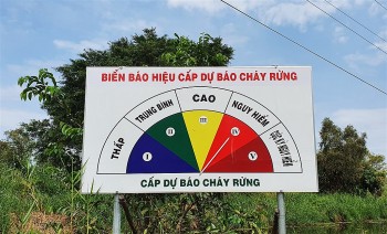 Cà Mau: Hơn 20.000 ha rừng có nguy cơ cháy nguy hiểm