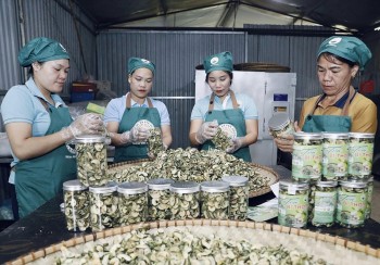 Bắc Kạn nhân lên hiệu quả tiêu thụ sản phẩm của đồng bào nhờ mô hình thương mại mới