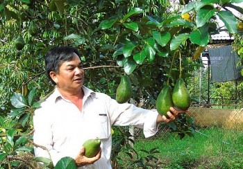 Chợ mạng giữa đại ngàn - nơi bơ, mít, tiêu, điều 'cất tiếng'