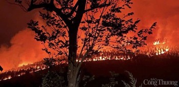 Vĩnh Phúc: Cháy lớn thiêu rụi khoảng 12ha rừng sản xuất