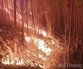 Vĩnh Phúc: Cháy rừng tại Tam Đảo, lan rộng sát nhà dân