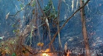 Vĩnh Phúc: Gần 800 người tham gia chữa cháy rừng xuyên đêm