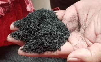 Thị trường carbon: Cánh cửa tỷ đô đã mở