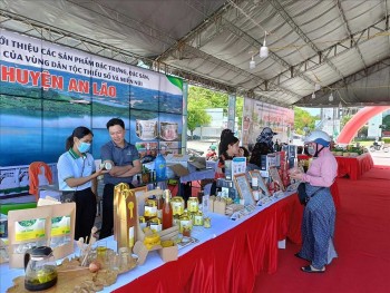 Bình Định bắc nhịp cầu tiêu thụ nông sản vùng cao