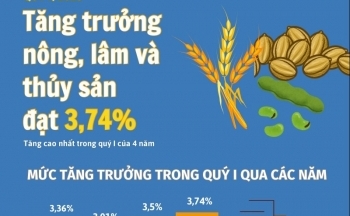 Quý I/2025: Tăng trưởng nông lâm thủy sản đạt 3,74%