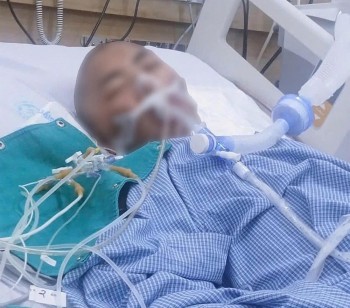 Lai Châu: Người tử vong, người hôn mê nghi do nấm độc