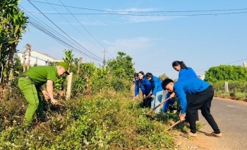 Dấu ấn người trẻ trên hành trình đổi mới nông thôn