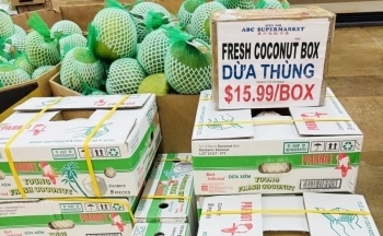 Quý 1/2025 xuất khẩu rau quả sụt giảm