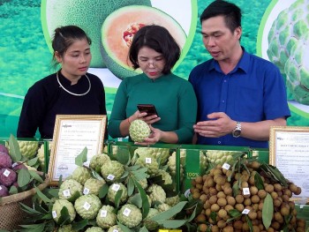 Na Võ Nhai, gà Phú Bình, chè Trại Cài: Thái Nguyên ‘làm thương hiệu’ từ sản phẩm bản địa