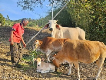 Những người truyền lửa phong trào nông thôn mới ở Hle Hlang