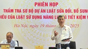 Thẩm tra sơ bộ Luật Sử dụng năng lượng tiết kiệm và hiệu quả (sửa đổi)
