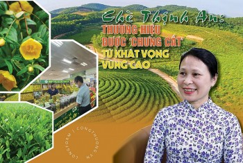 Longform | Chè Thịnh An: Thương hiệu được ‘chưng cất’ từ khát vọng vùng cao