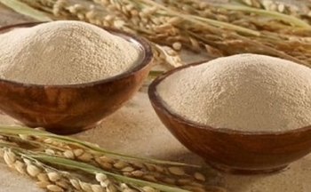 Khai phá thị trường hàng tỷ USD từ phụ phẩm nông nghiệp